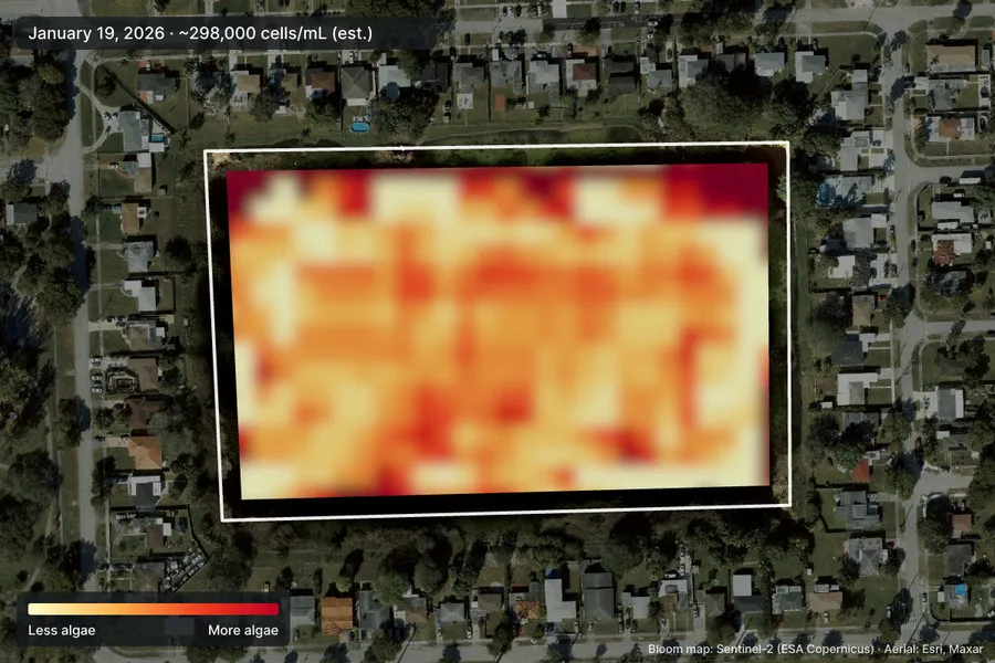 Satellite bloom map of an example pond: the densest algae on its worst cloud-free day, shown in yellow to red inside the outline the owner drew
